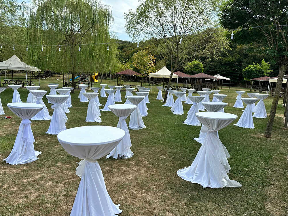 kokteyl/mezuniyet-toreni-icin-kokteyl-masasi-kiralama